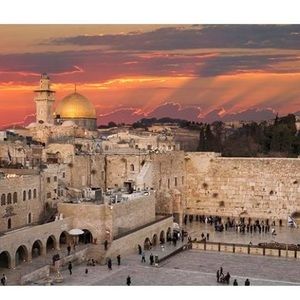 Meet your Posher, Gerardo